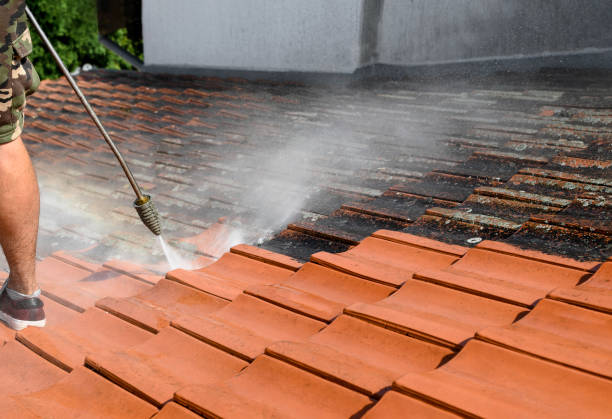 Best Fence Pressure Washing  in Spirit Lake, IA